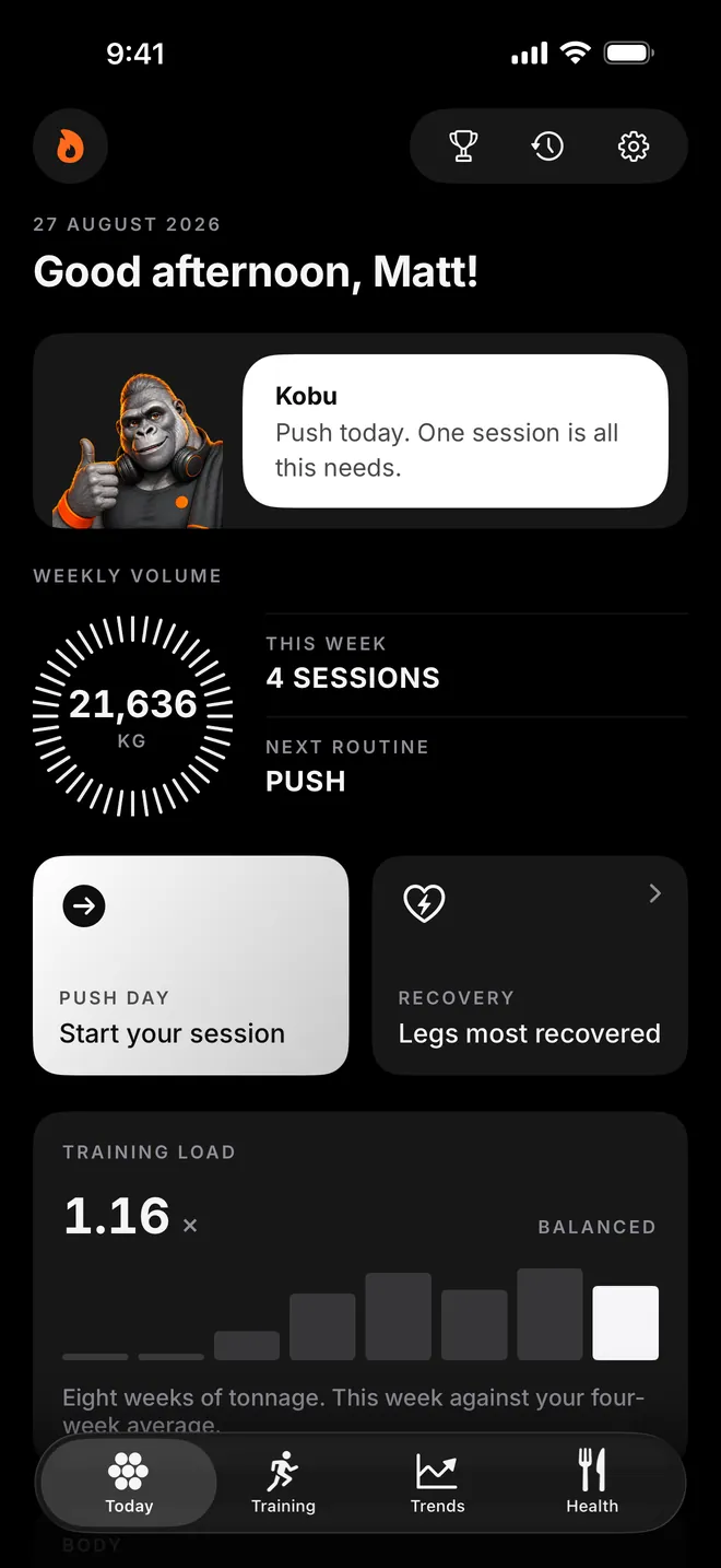 Kobu's Today screen: Kobu's call for the day, weekly volume, the next session and recovery